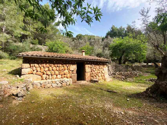 Bonito Olivar con porche en Fornalutx inmobiliaria enseñat