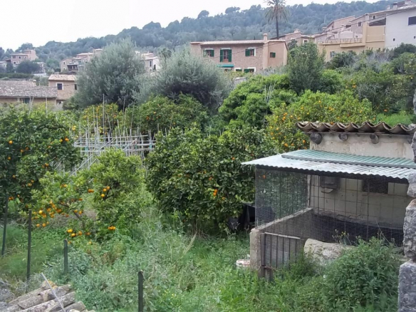Terreno huerto en Fornalutx inmobiliaria enseñat